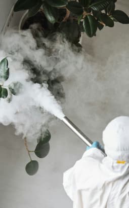 Certibiocide Nuisibles - certibiocide_nuisibles