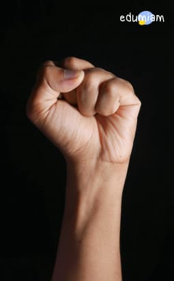 Renforcer l'égalité fille / garçon - edm_egalite_genre_am