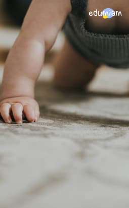 Eveil psychomoteur - edm_eveil_psychomot_pc