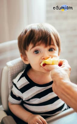 Normes HACCP en micro-crèche - edm_haccp_pc